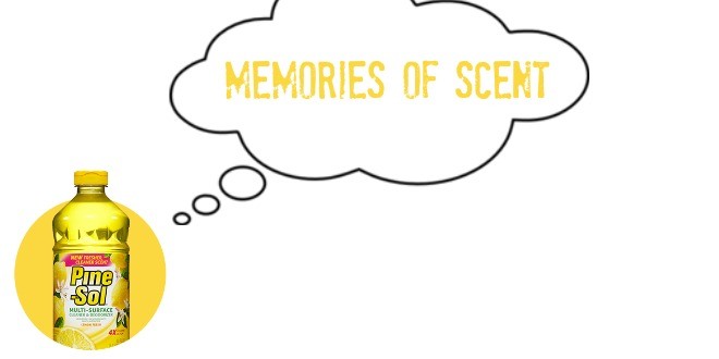 Memory of Scent: How a Hotel Shampoo Brought Me Back to My Awkward Teenage Years #YesItsPineSol